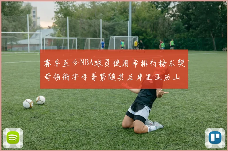 赛季至今NBA球员使用率排行榜东契奇领衔字母哥紧随其后库里亚历山大表现抢眼