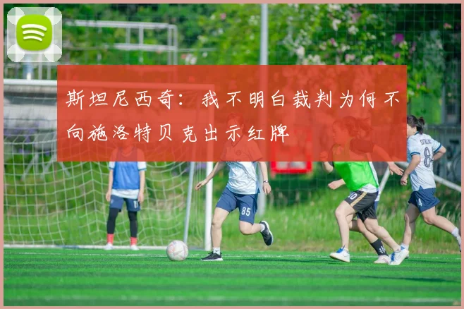 斯坦尼西奇：我不明白裁判为何不向施洛特贝克出示红牌